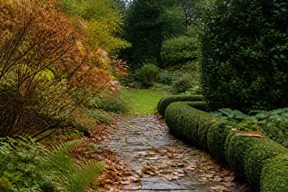 Illustrative autumn garden care
