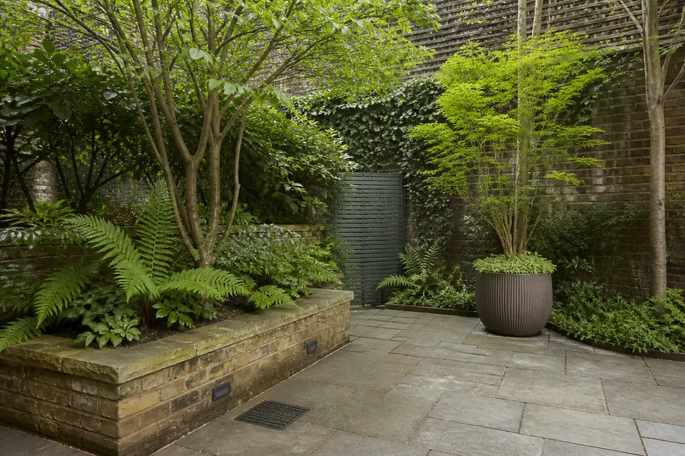 Illustrative courtyard with planting and paving