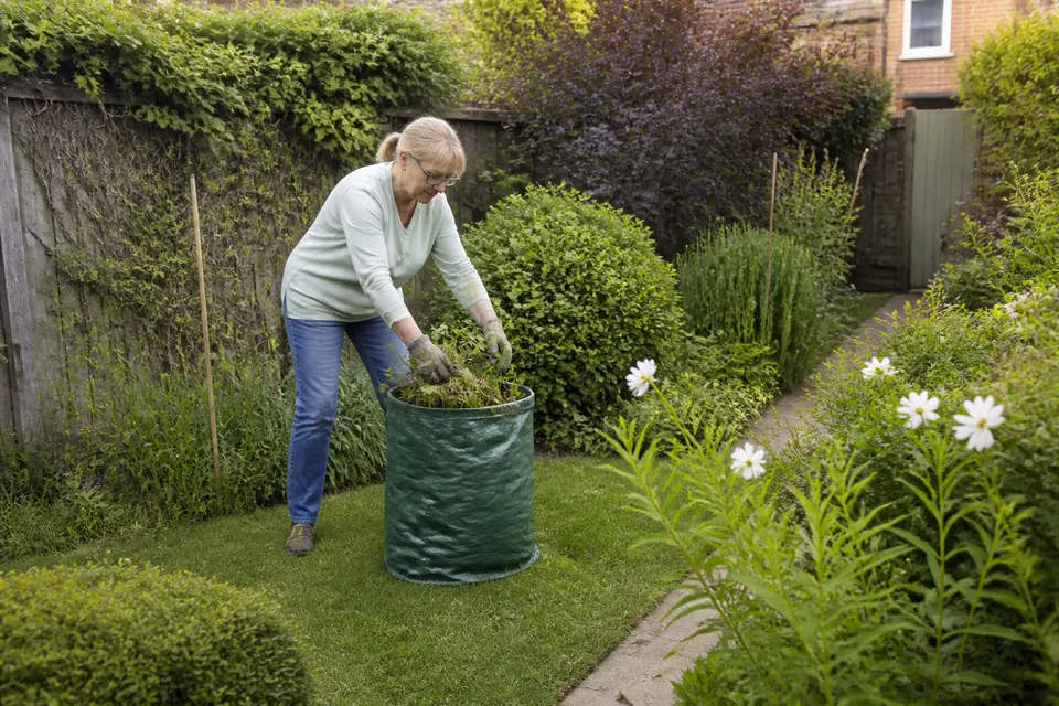 Garden clearance — illustrative gardening work