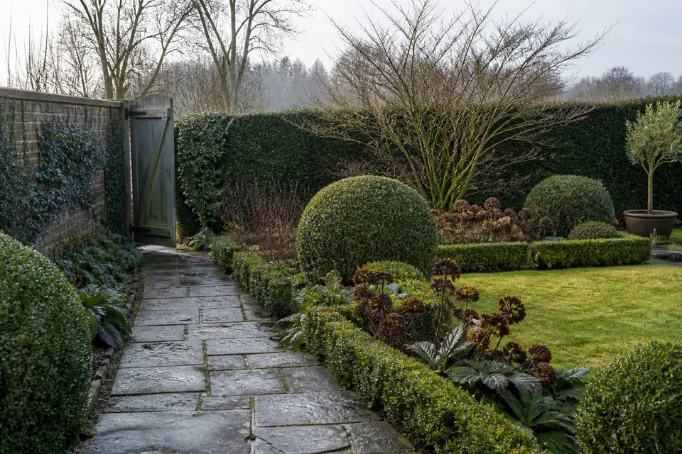Illustrative winter garden care