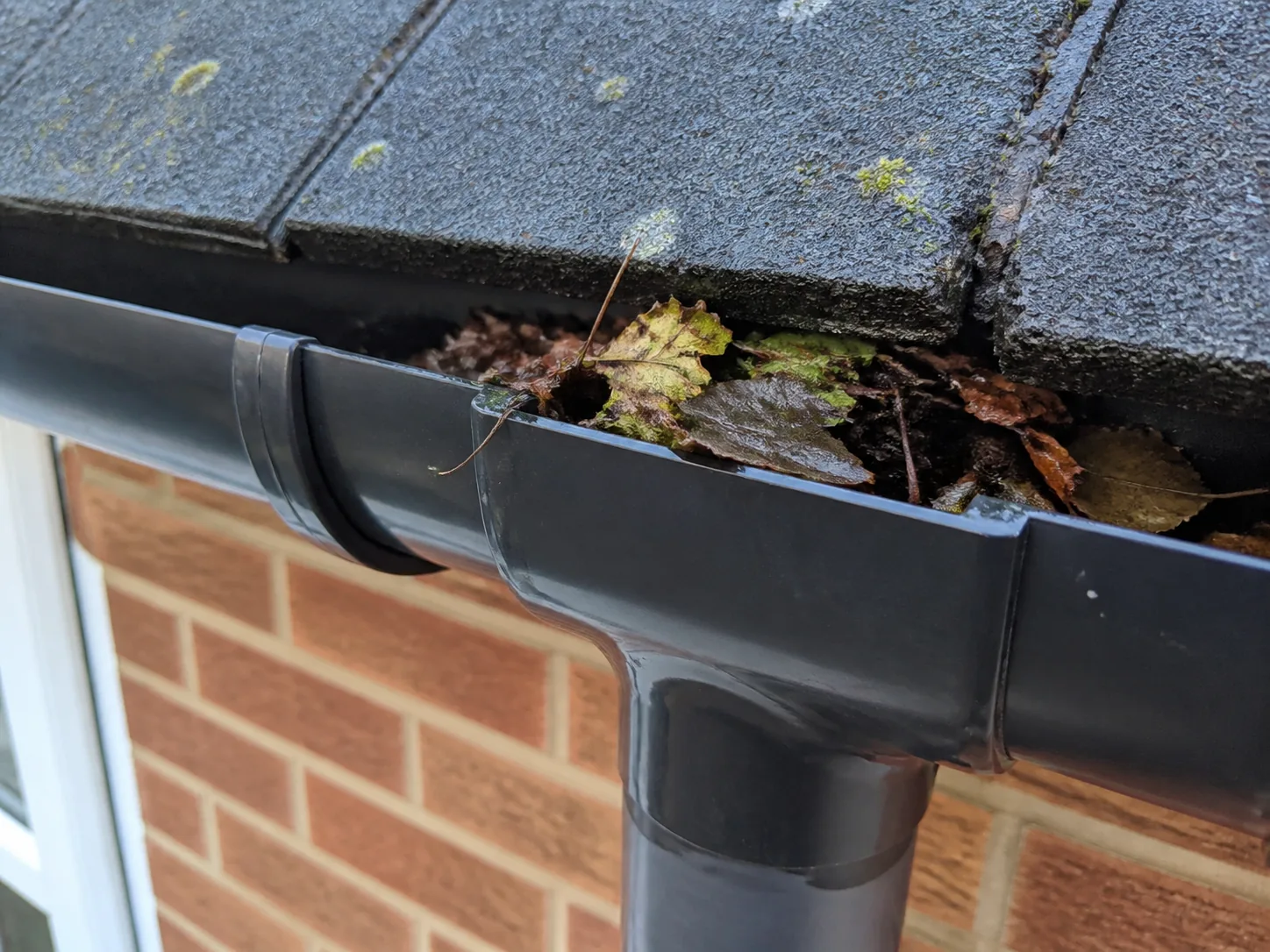 Gutter condition relevant to a Guildford property