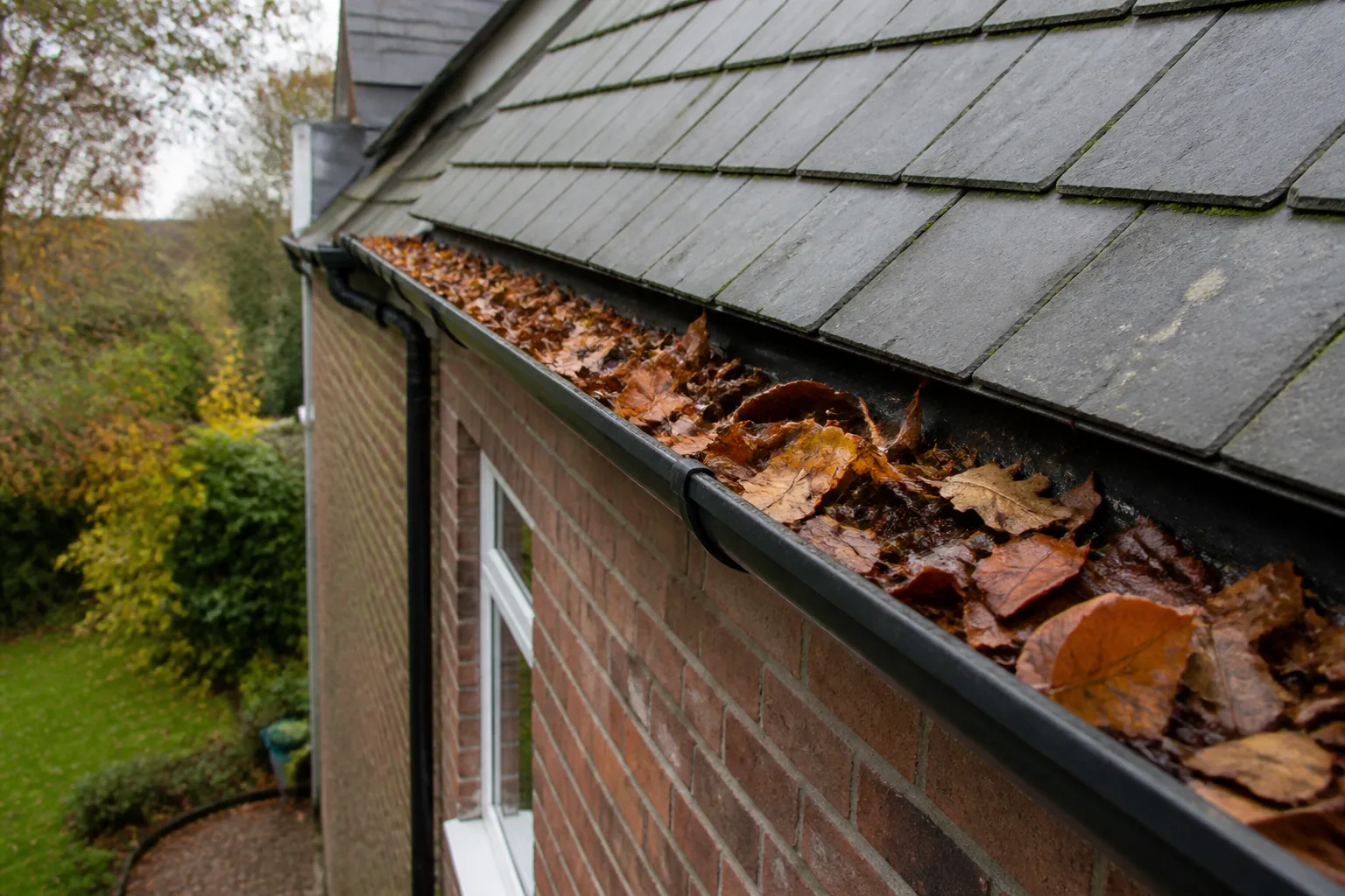 Gutter build-up on a UK property in Chiswick