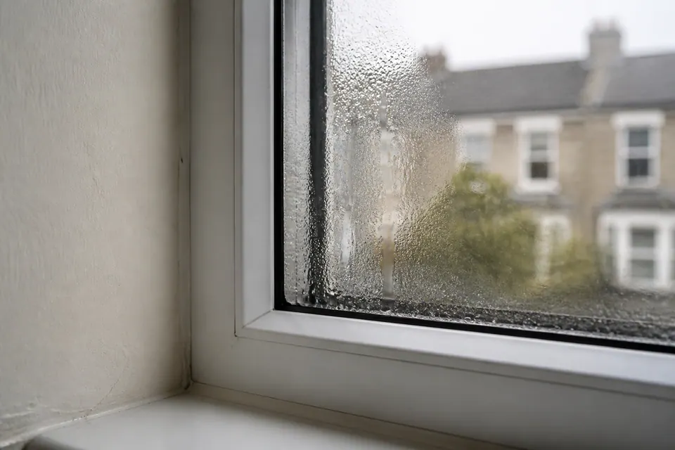 Illustrative condensation along a window pane