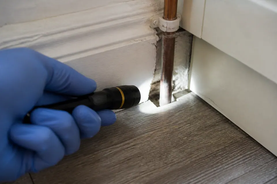 Illustrative inspection of a pipe entry gap
