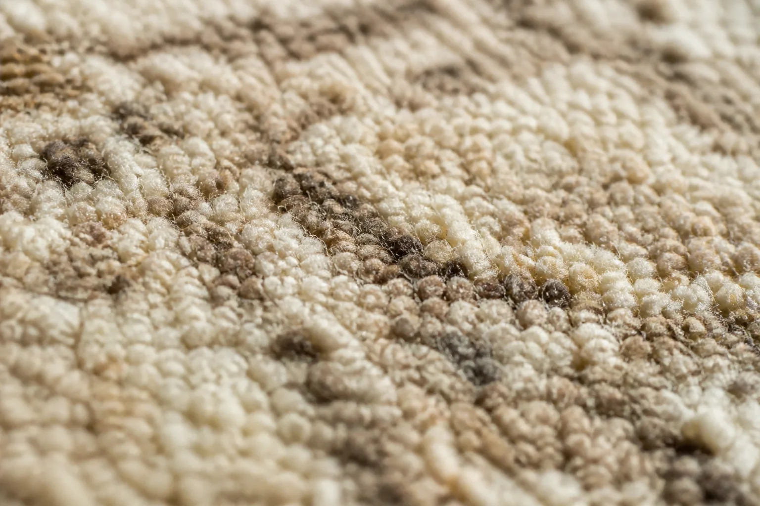 Patterned family-room rug prepared for assessment in Sutton