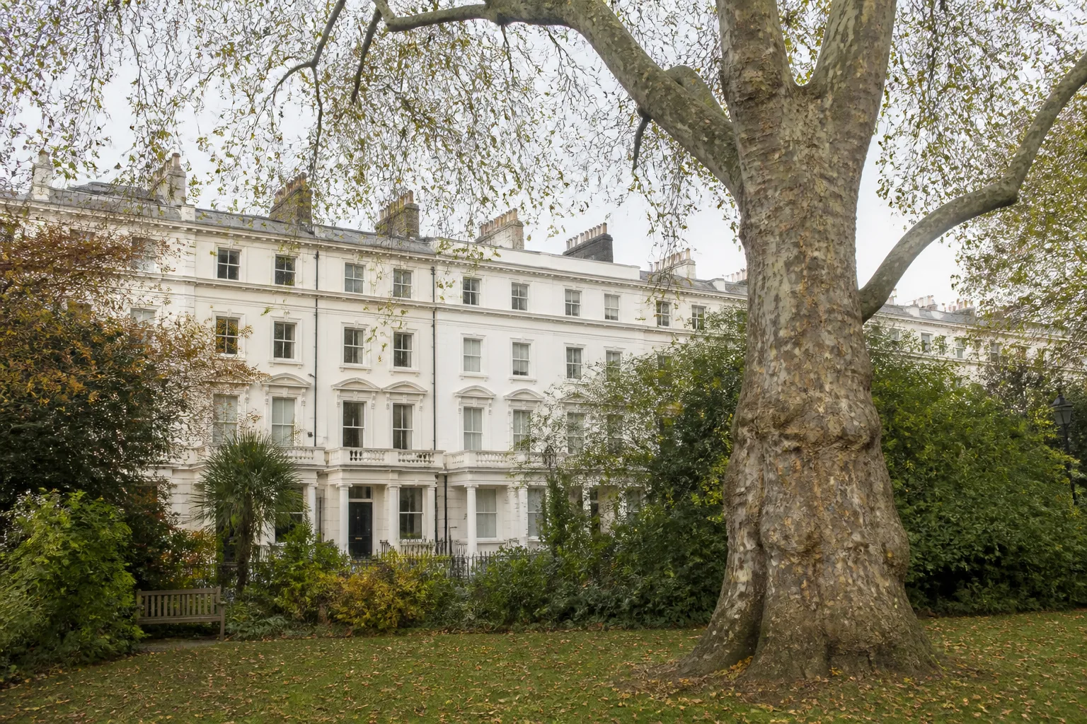 Tree, boundary and access relationship at a Barnet property