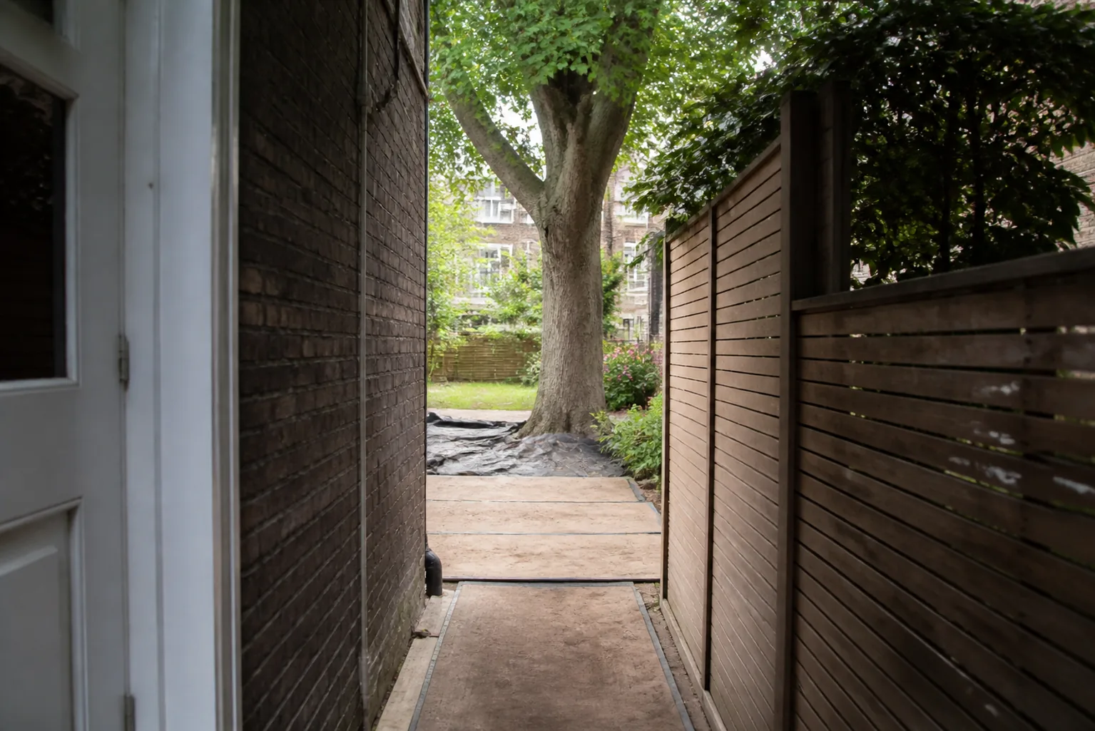 Tree, boundary and access relationship at a Staines property