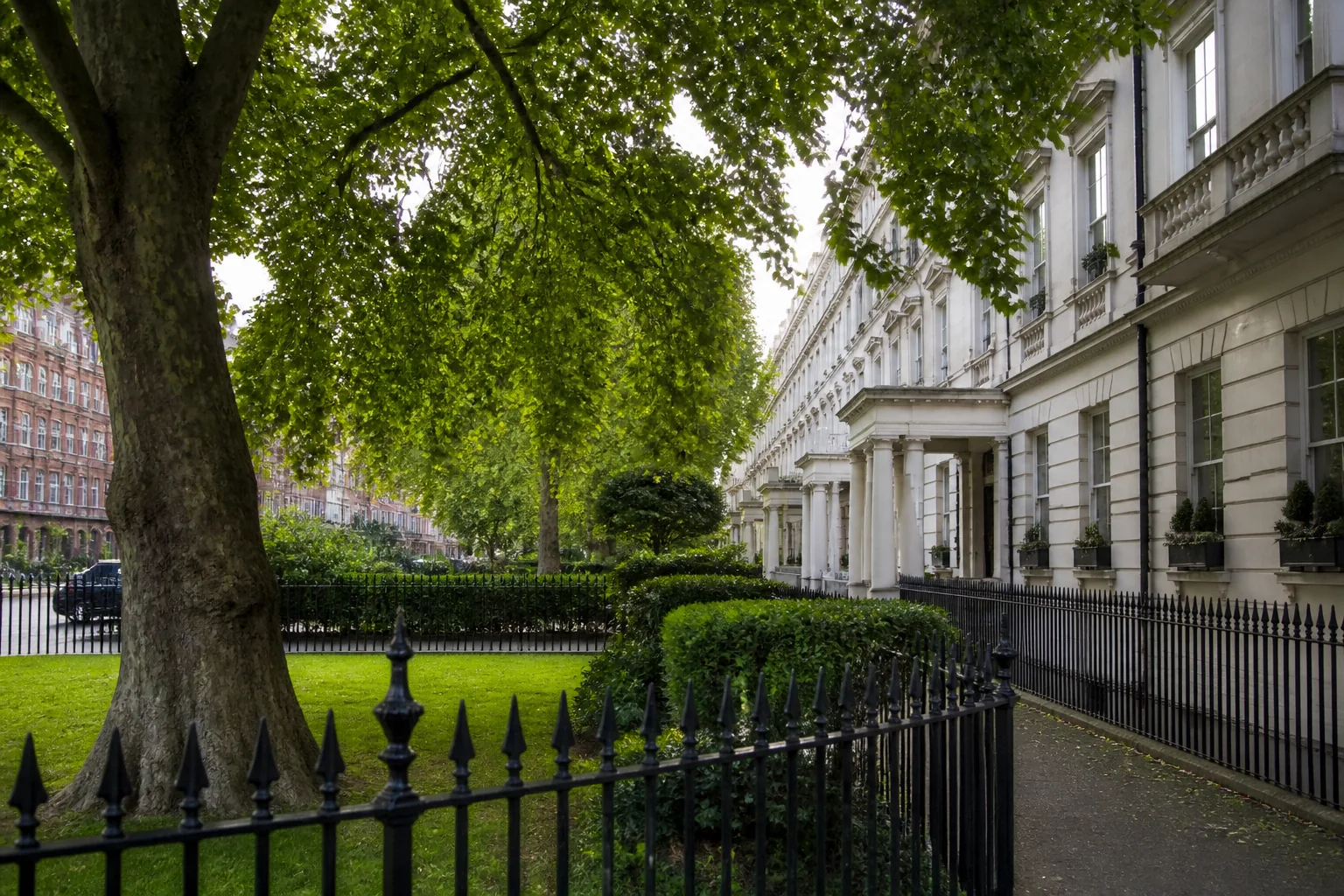 Tree, boundary and access relationship at a Epping property