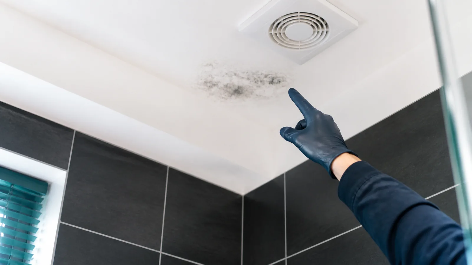 Black Mould on a Bathroom Ceiling: Causes, Safe First Steps and Prevention