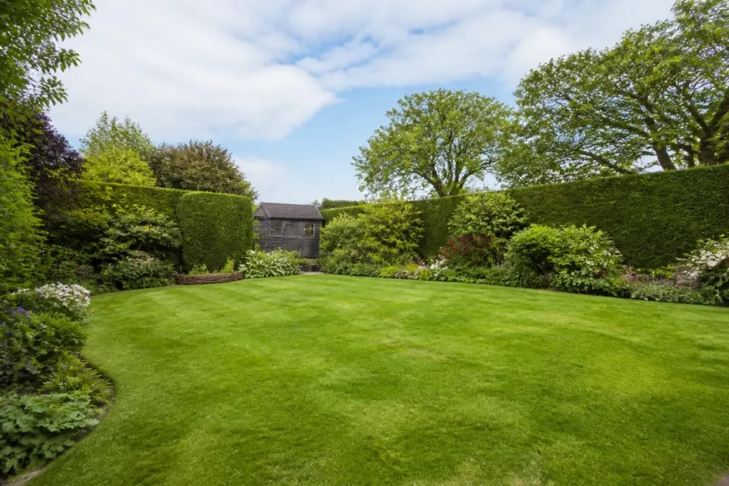 Brown Patches on a Lawn: A Visual Guide to the Most Likely Causes