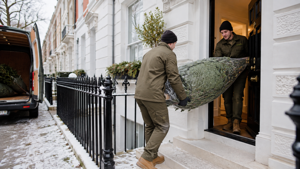 Christmas Tree Delivery in London: How to Order Well